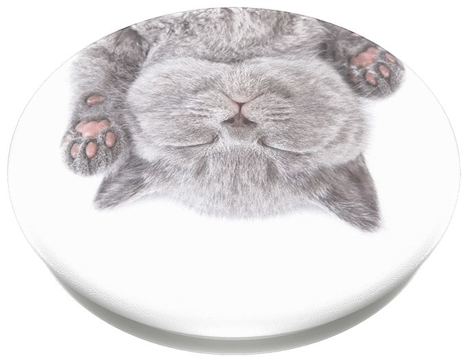 PG Katzenschläfchen 
