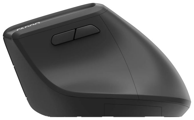 2400 DPI Büro Maus Optisch  EV310M (Schwarz) 