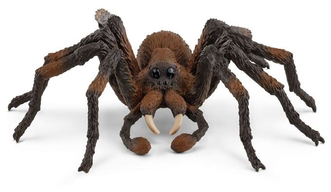 13987 Wizarding World Aragog 