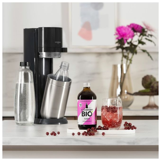 500 ml 1024819490 BIO Sirup Cassis 0,5l 