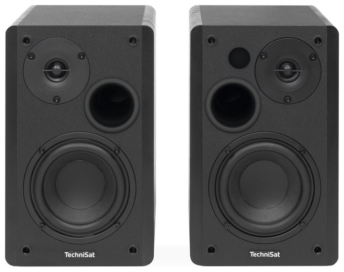 50 W Bluetooth Lautsprecher  Audiomaster RLS1 (Schwarz) 