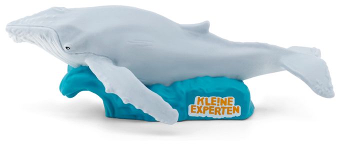 61 min  11000842 KLE!NE EXPERTEN tauchen mit Walen (Mehrfarbig) 