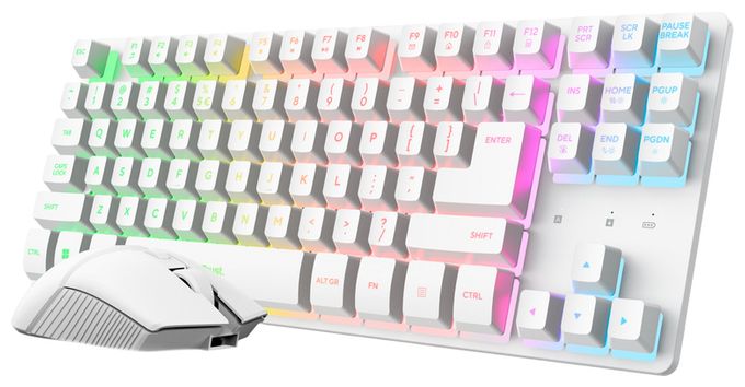 RGB-LED Gaming Tastatur RF Wireless  GXT882 (Weiß) 