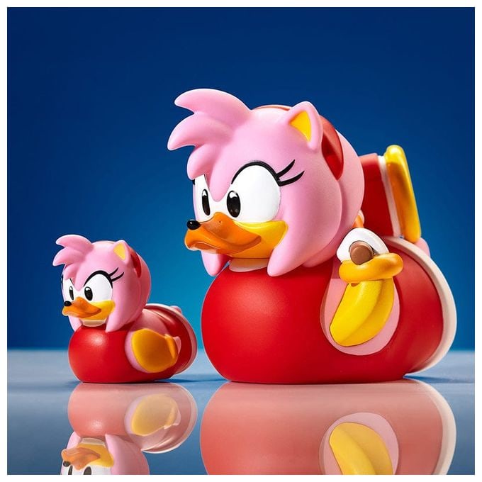 Sonic the Hedgehog: Amy Rose 