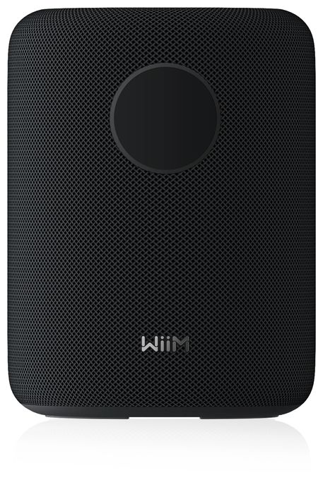 100 W WLAN Lautsprecher mit Bluetooth  Sound (Schwarz) 