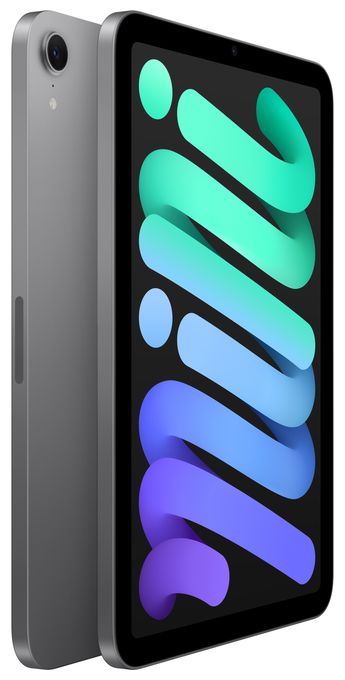128 GB Tablet 21,1 cm (8.3") iPadOS 12 MP  iPad mini (Grau) 
