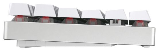 RGB-LED Gaming Tastatur USB + RF Wireless + Bluetooth 2.4 GHz  MX8.2 TKL Wireless RGB (Weiß) 