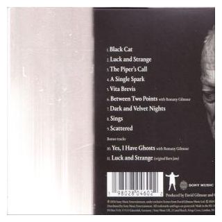 David Gilmour - Luck And Strange 