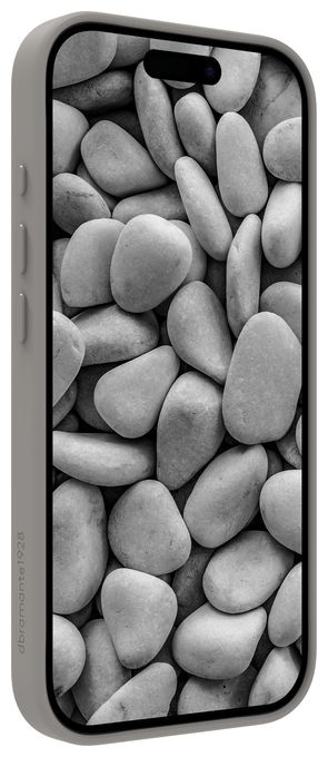 Cover für Apple iPhone 17  Roskilde MS Kick ICON (Grau) 