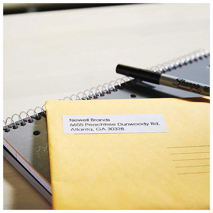 DYMO Original LabelWriter Rücksendeadressetiketten | 25mm x 54mm | 24 Rollen mit je 500 leicht ablösbaren Etiketten (12.000 Stück) | selbstklebend | Beschriftungsgerät für LabelWriter Etikettendrucker 