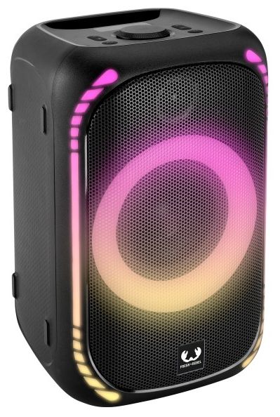 50 W Bluetooth Lautsprecher IPX7 Laufzeit bis 20 h  Party Loud Medium (Schwarz) 