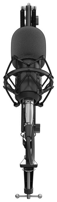 Kabelgebunden Studio-Mikrofon  Radium 300 XLR (Schwarz) 