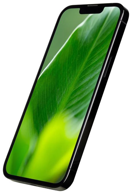 256 GB 5G Smartphone 15,5 cm (6.1 Zoll) IOS 12 MP Dreifach Kamera Dual Sim  Apple iPhone 13 Pro refurbished (Graphit, Grau) 