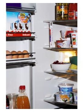  110822 Kühl-/Gefrierschrank-Thermometer analog (Weiß) 