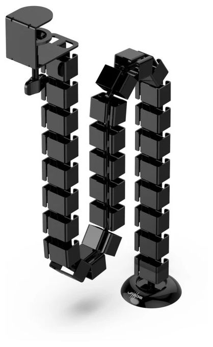 Spine 