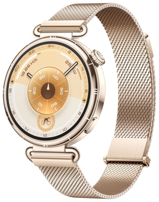 Digital 41 mm Smartwatch Rund IP69 336 h 352 ppi  Watch GT6 (Gold) 