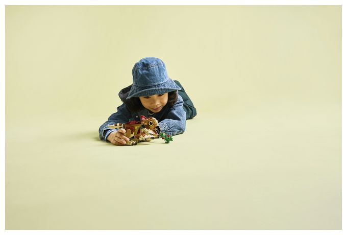Babydinosaurier Dolores: Aquilops 