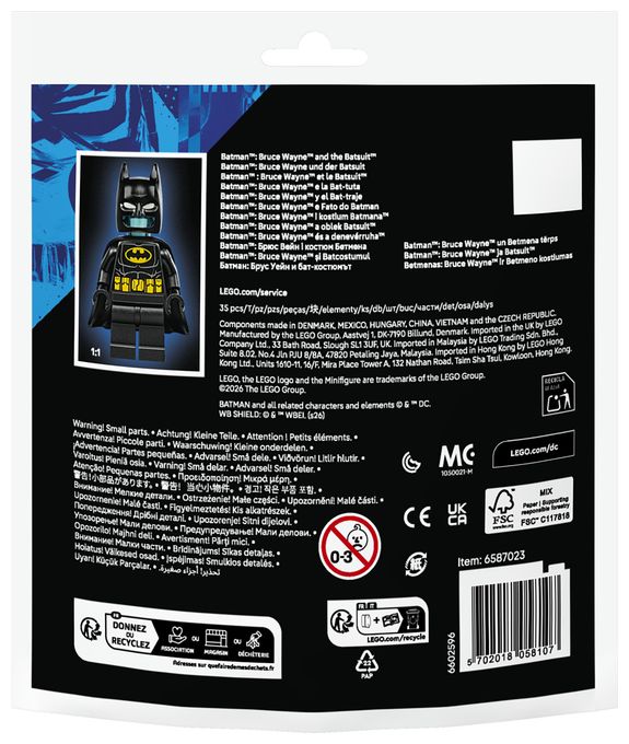 BatmanTM: Bruce Wayne und der Batsuit 