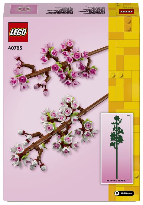 Kirschblüten 