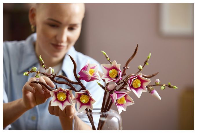 Magnolienzweige 