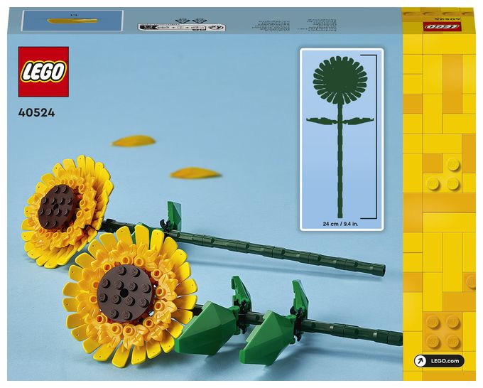 Sonnenblumen 