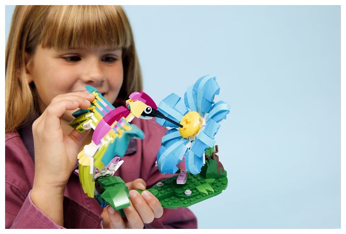Wilde Tiere: Bunter Kolibri 