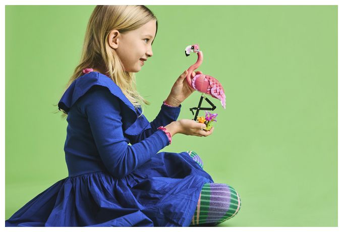 Wilde Tiere: Rosa Flamingo 