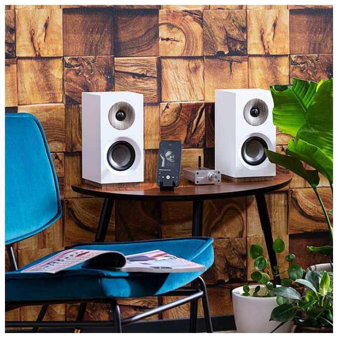 BoomBoom 460 - Bluetooth-Empfänger mit digitalem Verstärker 