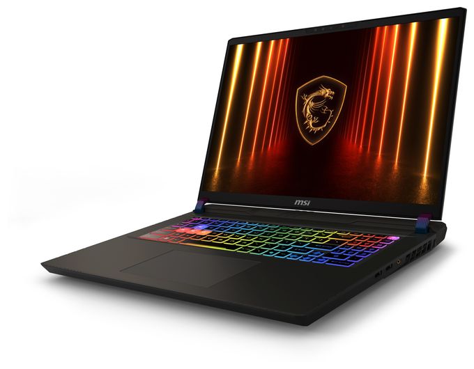 Quad HD Notebook 43,2 cm (17 Zoll) 2560 x 1600 Pixel 2 TB SSD Windows 11 Home Intel Core Ultra 9 max. 5,4 GHz  Vector 17 HX AI A2XWJG-039 (Grau) 