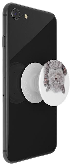 PG Katzenschläfchen 