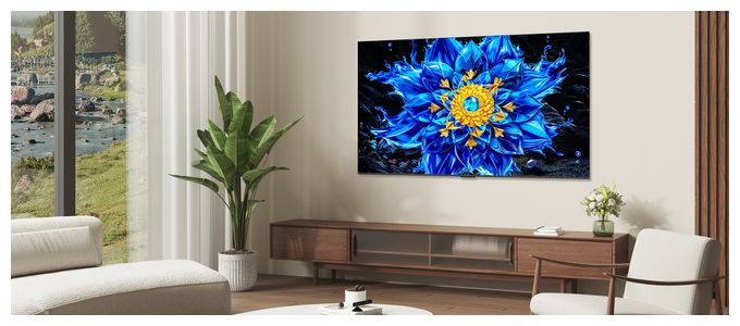 MiniLed 139,7 cm (55 Zoll) Fernseher 4K Ultra HD VESA 300 x 300 mm 55QLED810L 