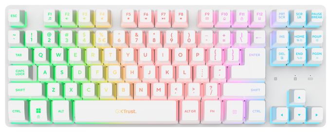 RGB-LED Gaming Tastatur RF Wireless  GXT882 (Weiß) 