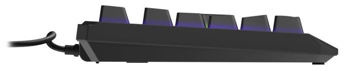 RGB-LED Gaming Tastatur USB  Exodus 220 TKL (Schwarz) 