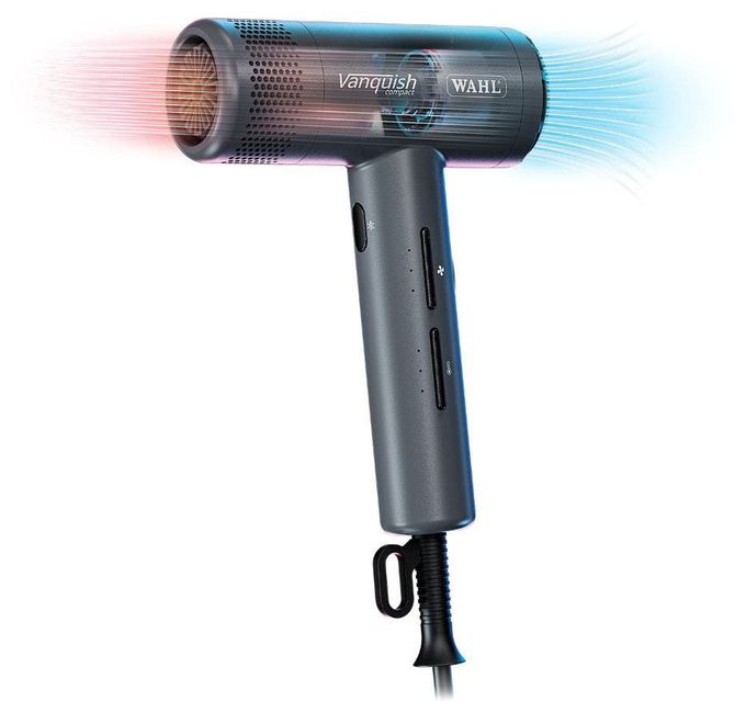 Haartrockner  Vanquish Compact (Grau) 