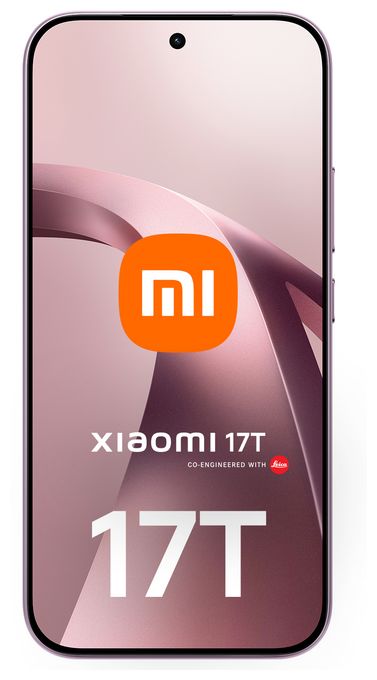 17T 