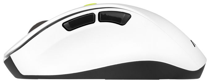 MD105 MOUSE/VT-GN 