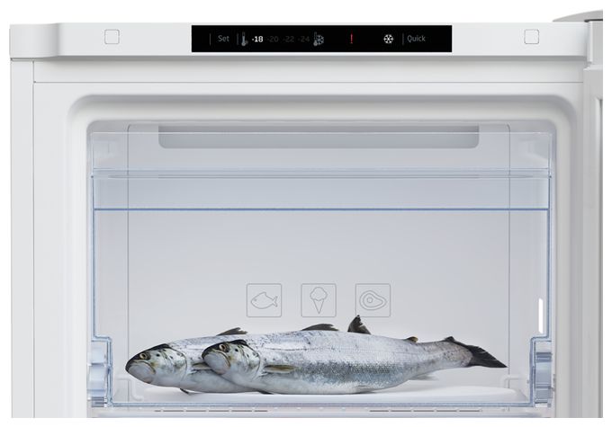 177 l Gefrierschrank 211 kWh Jahr NoFrost  RFNM200T40WN (Weiß) 