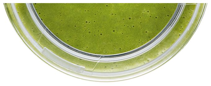Tritan (Schwarz, Transparent) MMZV0BT1 VitaMaxx Trinkflasche 