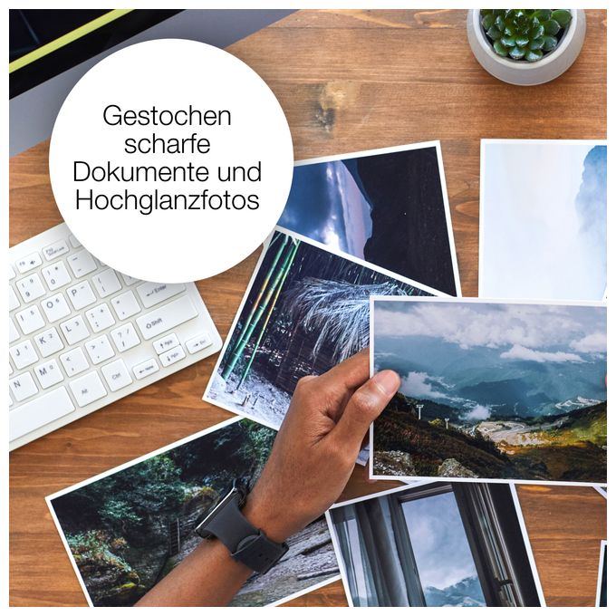 originale Druckerpatronen Cyan 2,4 ml 604 C13T10G24010 
