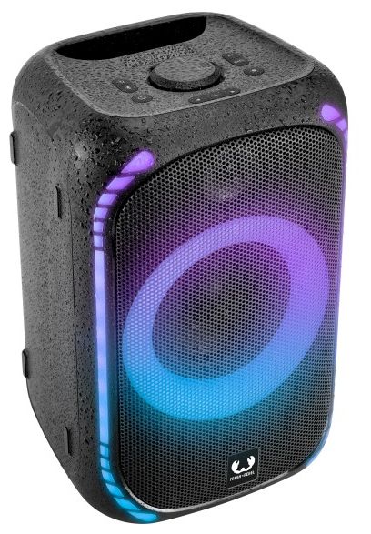 50 W Bluetooth Lautsprecher IPX7 Laufzeit bis 20 h  Party Loud Medium (Schwarz) 