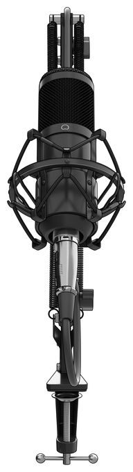 Kabelgebunden Studio-Mikrofon  Radium 300 XLR (Schwarz) 