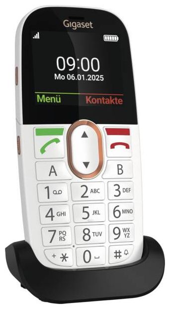 4G Smartphone 5,87 cm (2.31 Zoll) 2 MP Single SIM  GL695 (Weiß) 