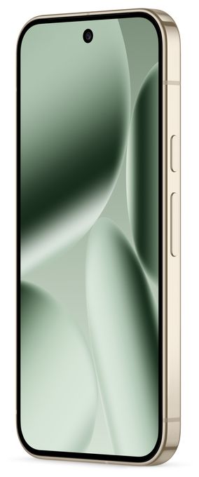 256 GB 5G Smartphone 16 cm (6.3 Zoll) Android 50 MP Dreifach Kamera Dual Sim WiFi 7  Pixel 10 Pro (Grün) 