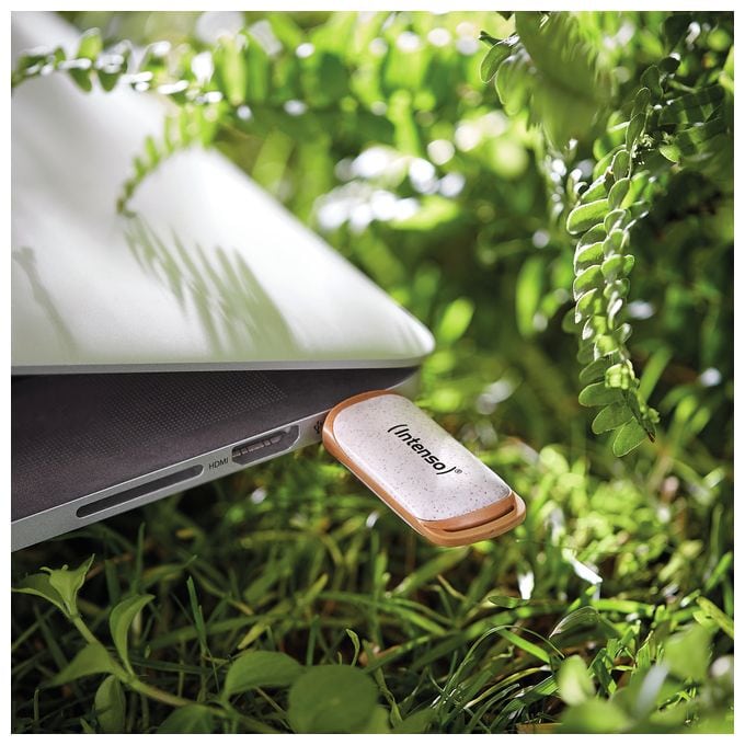 USB Typ-A Stick 32 GB  Green Line (Beige, Braun) 