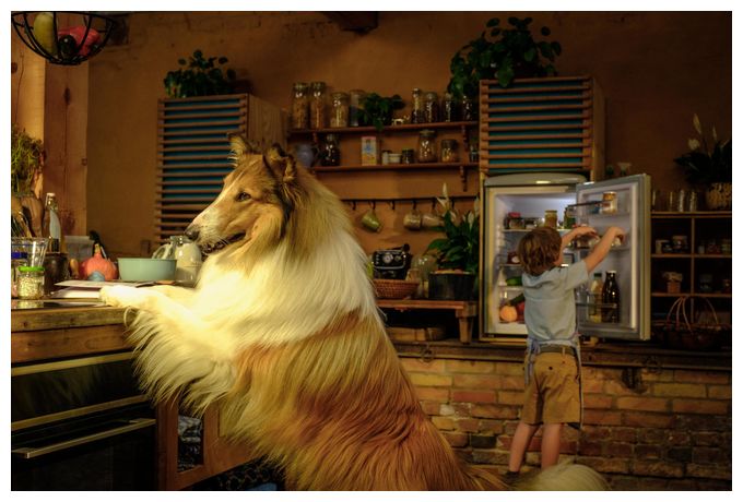 Lassie - Ein neues Abenteuer (DVD) 