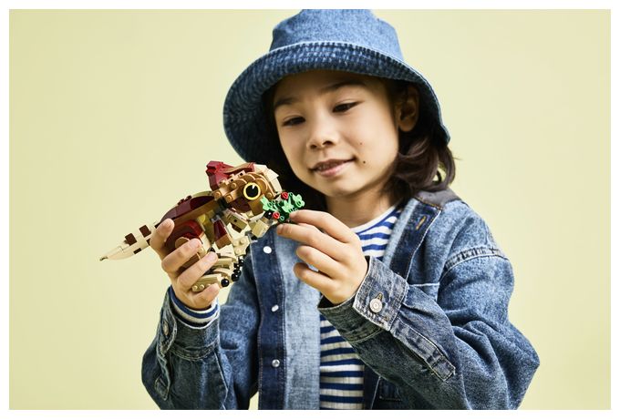 Babydinosaurier Dolores: Aquilops 
