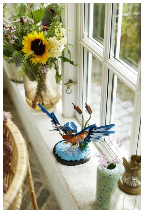 Eisvogel 