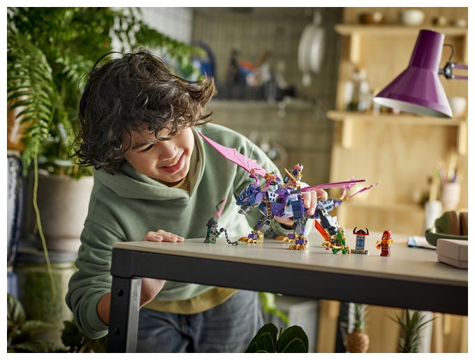 Rontu der Meisterdrache 