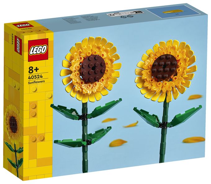 Sonnenblumen 