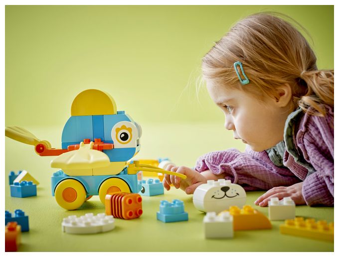 Tiere auf Rädern 3-in-1-Set 